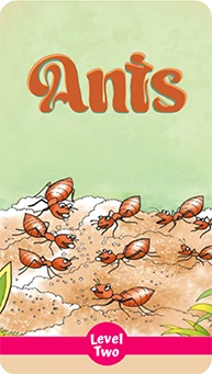 Ants interactive children's book cover