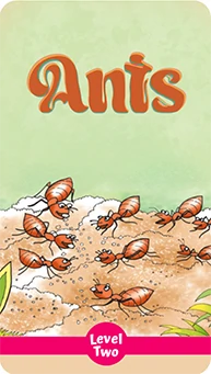 Book Cover: 'Ants' - Do you know where ants build their homes and what they eat? Read more to find out.